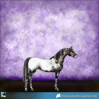 Horse Color:Brown Ice Onyx Appaloosa Rabicano 