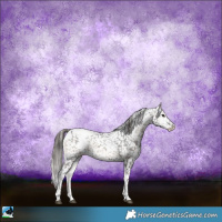 Horse Color:Smoky Blue Onyx Ice Appaloosa 
