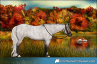 Horse Color:Liver Red Dun Roan Mushroom 