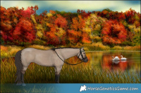 Horse Color:Liver Red Dun 