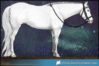 Horse Color:Platinum Chocolate Palomino Pearl Sabino 