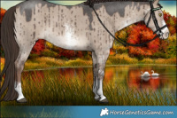 Horse Color:Liver Red Dun Sabino Brindle 
