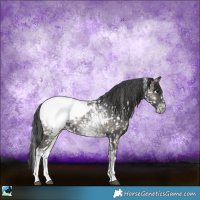 Horse Color:White Spotted Blue Onyx Ice Appaloosa 