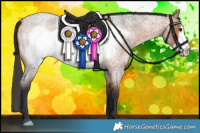 Horse Color:Bay Roan Frame 