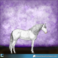 Horse Color:Brown Sabino Leopard 