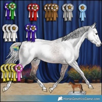 Horse Color:Gray Bay Appaloosa Rabicano 