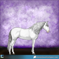 Horse Color:White Spotted Black Mushroom Appaloosa 