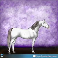 Horse Color:White Spotted Grullo Mushroom Sabino Appaloosa Rabicano 