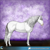 Horse Color:Brown Mushroom Sabino Appaloosa 