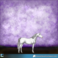 Horse Color:Black Sabino Appaloosa Rabicano 