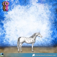 Horse Color:Blue Onyx Sabino Appaloosa Rabicano