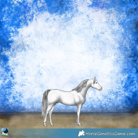 Horse Color:Blue Onyx Sabino Appaloosa Rabicano 