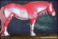 Horse Color:Watercolor White Spotted Liver Red Onyx Appaloosa