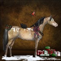 Horse Color:Gray White Spotted Sable Champagne Dun Brindle