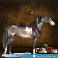 Horse Color:White Spotted Brown Dun Sabino Rabicano Brindle 