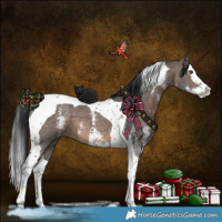 Horse Color:Brown Dun Sabino Splash Tobiano 