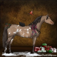 Horse Color:White Spotted Liver Red Dun
