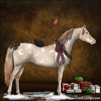 Horse Color:White Spotted Liver Red Dun Roan Pearl 