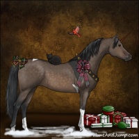 Horse Color:Brown Dun Tobiano 