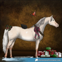 Horse Color:White Spotted Silver Sable Champagne Dun