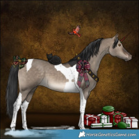 Horse Color:Brown Dun Tobiano 