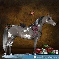 Horse Color:White Spotted Grullo 