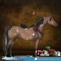 Horse Color:White Spotted Liver Red Dun 