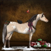 Horse Color:White Spotted Bay Dun