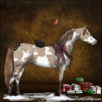 Horse Color:White Spotted Liver Red Dun Frame
