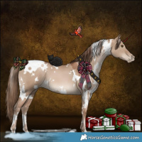 Horse Color:White Spotted Grullo Pearl