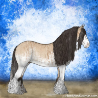 Horse Color:White Spotted Bay Dun Splash  and White Spotted Bay Dun Splash 