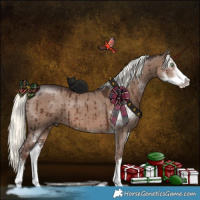 Horse Color:Liver Red Dun Mushroom Sabino Brindle 