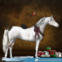 Horse Color:Liver Red Dun Ice Mushroom Sabino Tobiano Brindle 