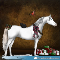Horse Color:Liver Red Dun Pearl Sabino Appaloosa Brindle