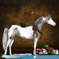 Horse Color:Liver Red Dun Ice Mushroom Splash Tobiano Brindle
