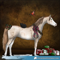 Horse Color:Liver Red Dun Pearl Sabino Brindle