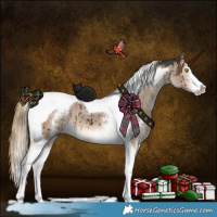 Horse Color:Liver Red Dun Sabino Tobiano Brindle 