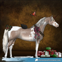 Horse Color:Liver Red Dun Mushroom Sabino Tobiano 