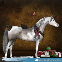 Horse Color:Brown Ice Dun Sabino Tobiano Brindle