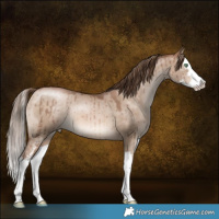 Horse Color:Brown Pearl Dun Mushroom Sabino Splash Brindle 