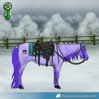 Horse Color:Watercolor Blue Roan