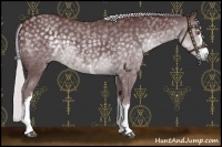 Horse Color:White Spotted Chocolate Silver Black Chinchilla Sabino 