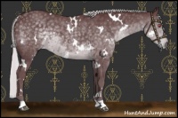 Horse Color:White Spotted Chocolate Silver Black Chinchilla