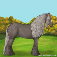 Horse Color:Silver Black 