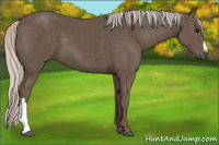 Horse Color:Silver Black 