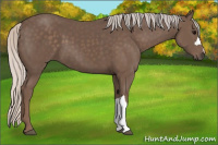 Horse Color:Silver Black 