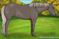 Horse Color:Silver Black 
