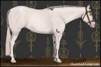 Horse Color:Platinum Gold Champagne 