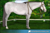 Horse Color:Platinum Amber Cream Champagne