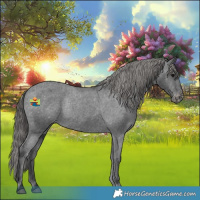 Horse Color:Black Varnish Rabicano 